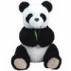 Panda - Panda is an animal mostly wiped out from our world