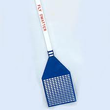 fly swat whippings - whippings