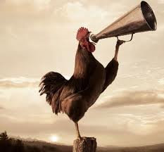 wake up - time to get up wake up - time to get up