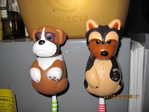 toothbrush holders - aren't our toothbrush holders fun? mine is missing a paw. aww.