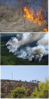 no open burning! please stop it!  - Every year there are irresponsible people who burn their crops or trees after they have harvested and to clean it in a faster way, they burn it and that brings negative effect to the environment as well the health of peoples around. Please be a more responsible human and save our earth. Please stop your stupid act now!