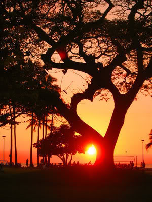 Love - Love, heart and sunsets. 