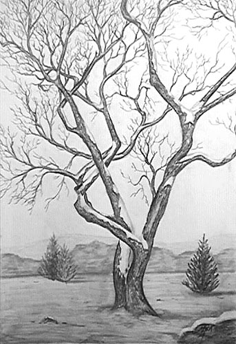Cold Tree - I am a huge fan of artwork. This is one of my favorites.