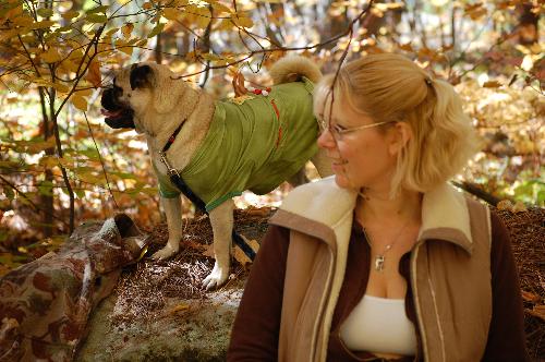 Hiking in Algonquin Park - Ultimate stress relief! Me and my pug taking a break as we hike through Algonquin Park Canada. Algonquin park is one of my favourite places.