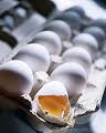 broken egg, broken trust - Containers for eggs
