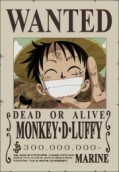 One Piece - The picture shows the main protagonist in the anime story called One Piece. His name is Monkey D. Luffy.
