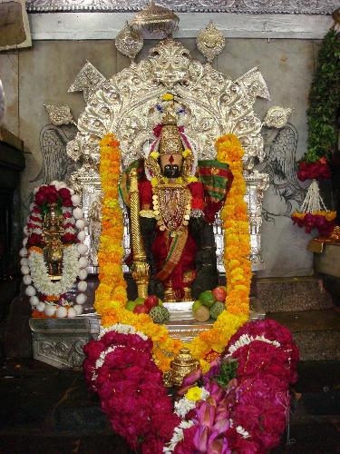 Goddess Laxmi - During Dewali, we worship Goddess laxmi sumbol of Wealth along with Lord Ganesh Symbol of Wisdom and use Wealth as per requirement and do not misuse.