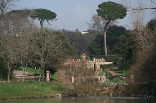 italy - italy, rome trees