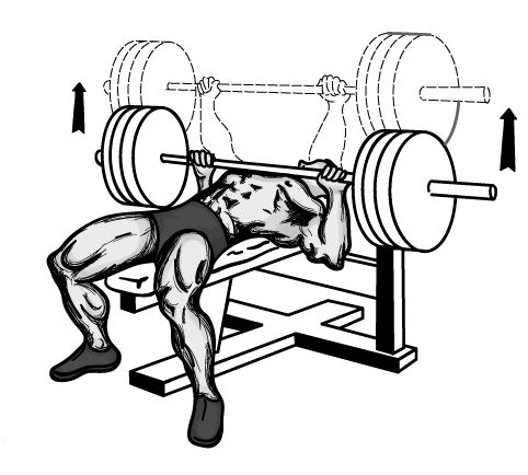 bench press  - free weight activates more muscle than smith machine