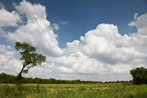 Landscape - This phot has been taken when we went for an outing a few days back. Please put ur comment.