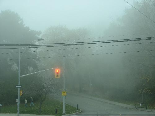 The fog - The fog was so thick that it reached the ground.