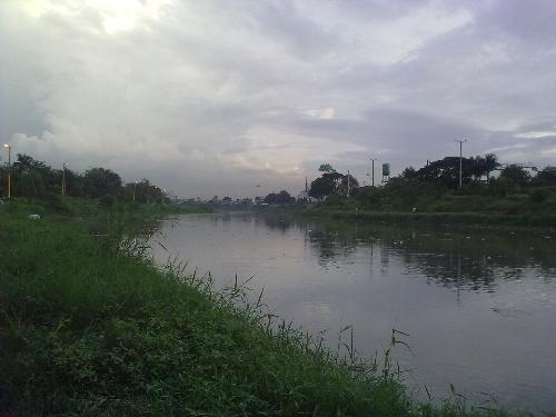 Marikina River  - garbage floating around in the river