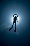 Scuba Diving  - Under water adventure