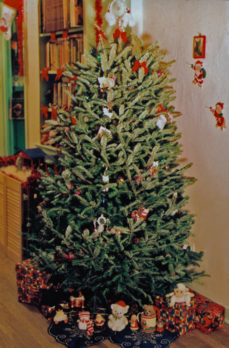 My Christmas Tree Last Year - Image of Christmas tree My Christmas Tree Last Year - Image of Christmas tree