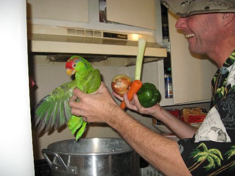 my roxie - joking around on thanksgiving with my redheaded amazon