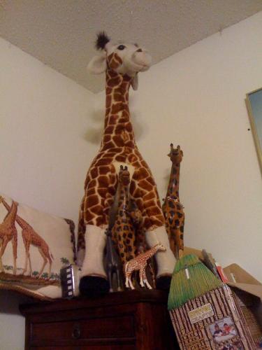 large stuffed giraffe - the chest it standing on is about 4 and a half feet tall