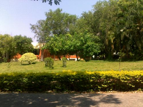 Nature - This my favourite hangout