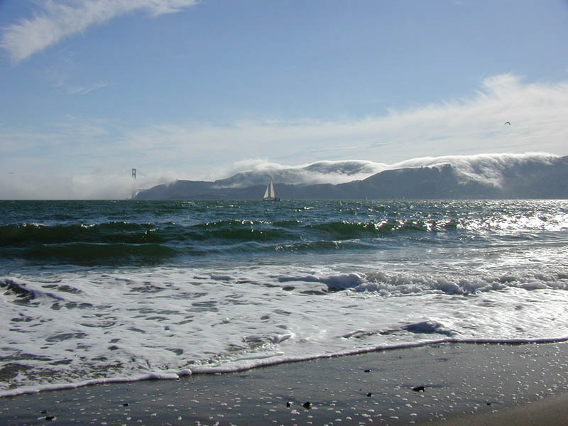 the Ocean - the beach with waves