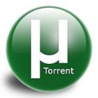 downloading torrent files - downloading files from torrent