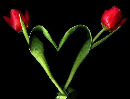 i love u - my creation 4 u.