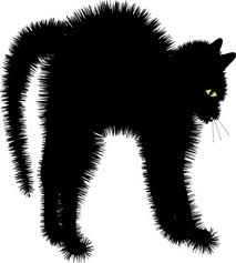 cat trouble. - hissing cat is not good cat trouble. - hissing cat is not good