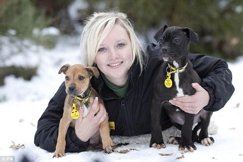 Dog Carer - Dog carer Jess Ockwell- Dog Trust, Newbury Dog Carer - Dog carer Jess Ockwell- Dog Trust, Newbury
