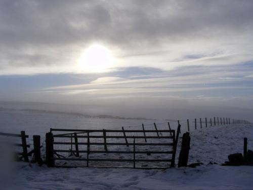 December in the UK - A beautiful misty winters morning scene