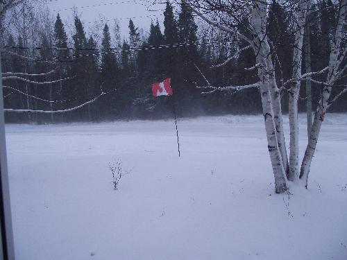Windy, snowy day - A snowy, blustery day in Canada. 