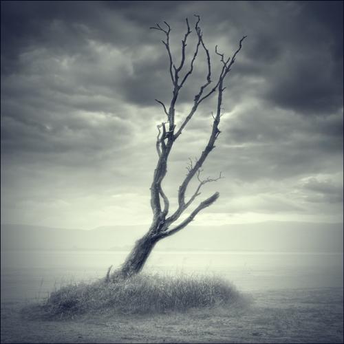 Lonely Nature - Isn't it great??