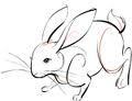 year of the rabbit - 2011 is the year of the white metal rabbit in chinese zodiac.
