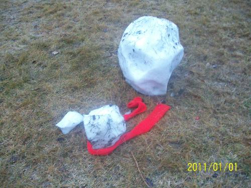 Mr. Frosty the Snowman - Here is the pic of the kid's snowman, well...what is left of him after one day.