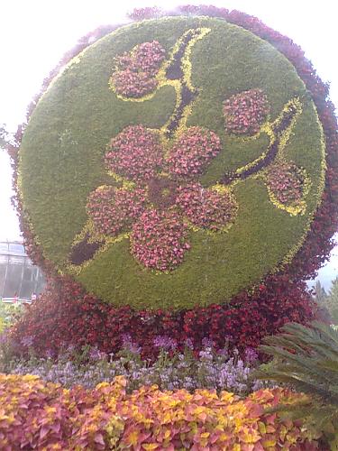 flowers - the plant park