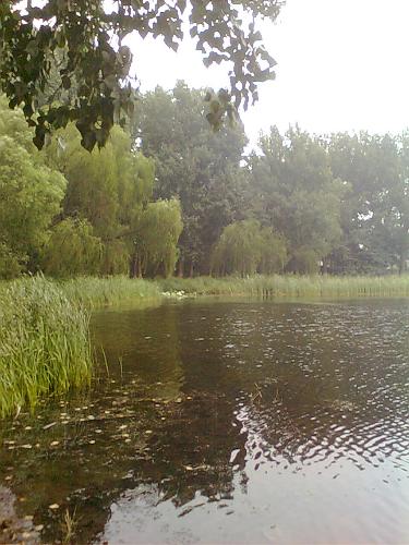 near the river - I like the picture near the river.
