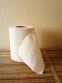 Toilett Paper  - A roll of White toilett paper sitting on a wicker shelf.