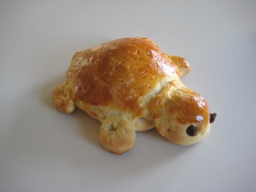 Turtle cabbage pie - A funny turtle cabbage pie.