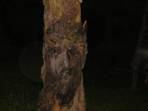 Jesus face on the tree - Seriously, what do you think about the picture? this pic were taken from my own place but not by me. The image on the tree is only clearly visible on night. And when you touch it, it feels like touching human skin.Some say it's a miracle.
