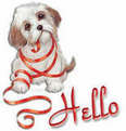 Hello - Hello puppy