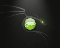 Green Dragon - very cool green dragon image which is being used as a profile picture