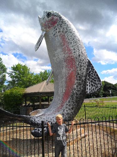 The Big Trout - Here is the Big Trout in Adaminaby in the Snowy Mountains of NSW.