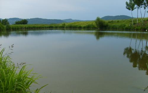 The lake - You can see my land, in this picture it is over the lake