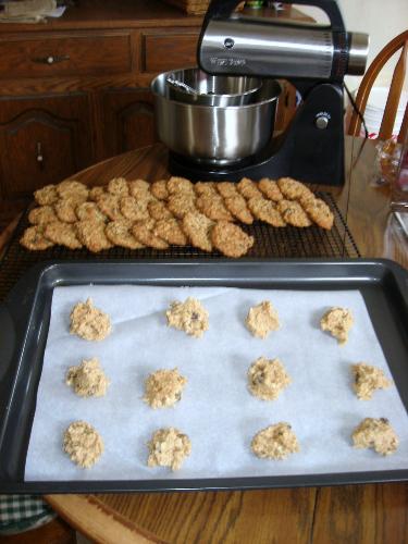 Freshly Baked - Some of my Oatmeal Raisin cookies baked today. (1-22-11)
