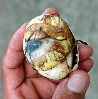 Balut(duckegg)..One of the weirdest foods in Asia? - A fertilized duck or chicken egg develop until it is embryonic. Boil it and serve with chili vinegar, and you have balut, the street food of Filipinos. 