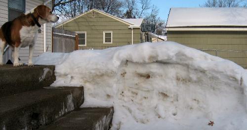 Snowbank - An example of the amount of snow I've had in Minnesota so far.
