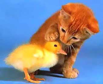 WoW - Live Together