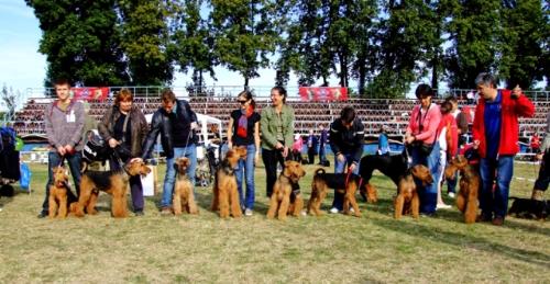 group photo - nobody knew others but from their postings in the dog lovers forum