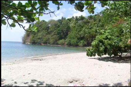 Untouched Beauty - This is one of the wild beaches we have..It is yet untouched but the neighbor beaches are under development of commercial resort...Its soothing beauty is rare that gives me pleasure to come again and again..