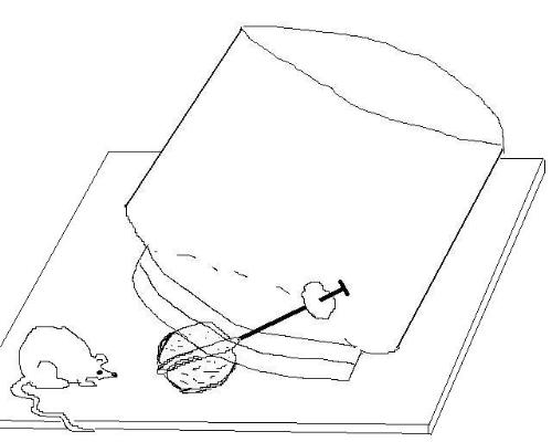 DIY mouse trap - sorry for the poor drawing, I hope you'll get the idea