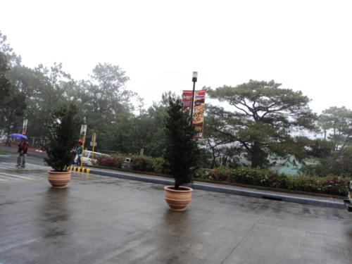 rain - rainy day