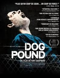 dog pound - dog pound poster, juvenile dog pound - dog pound poster, juvenile