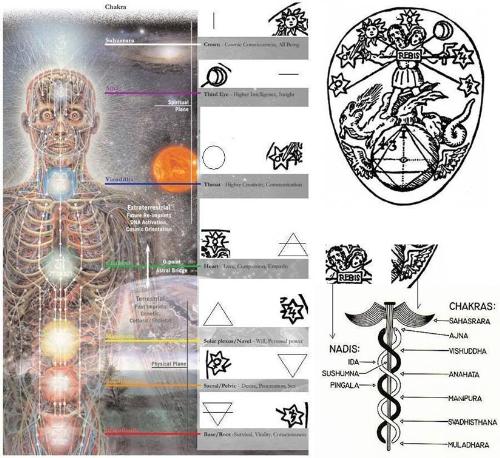 Yoga - Different chakras